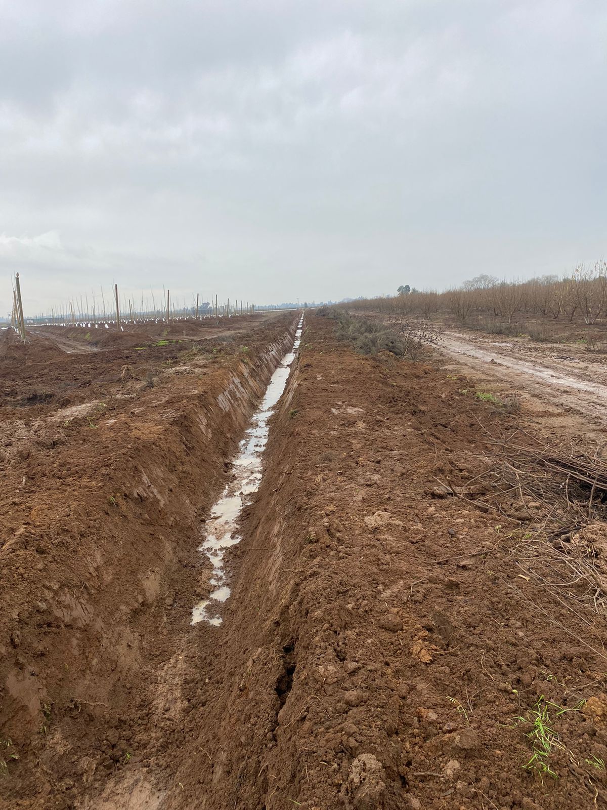 Construcción de drenes en terreno agrícola — Sociedad Agroforestal Santa María SpA