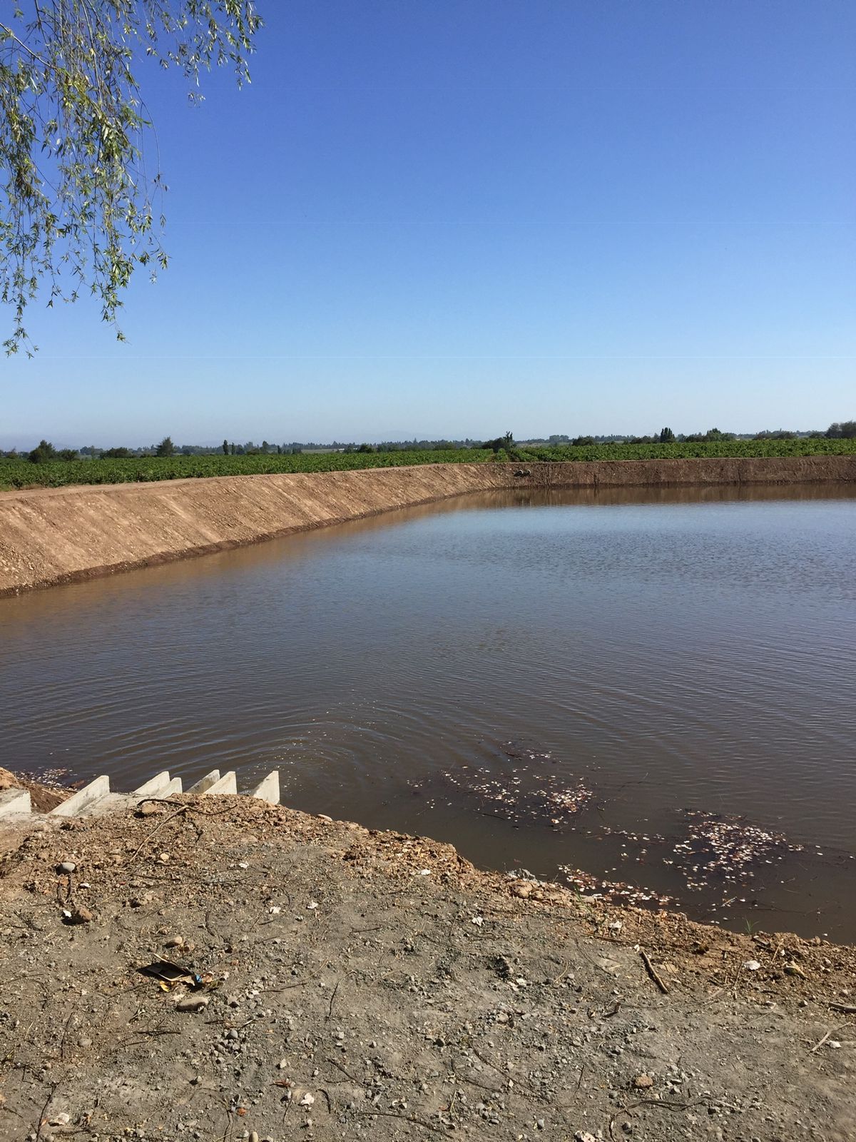 Agrícola — Sociedad Agroforestal Santa María SpA