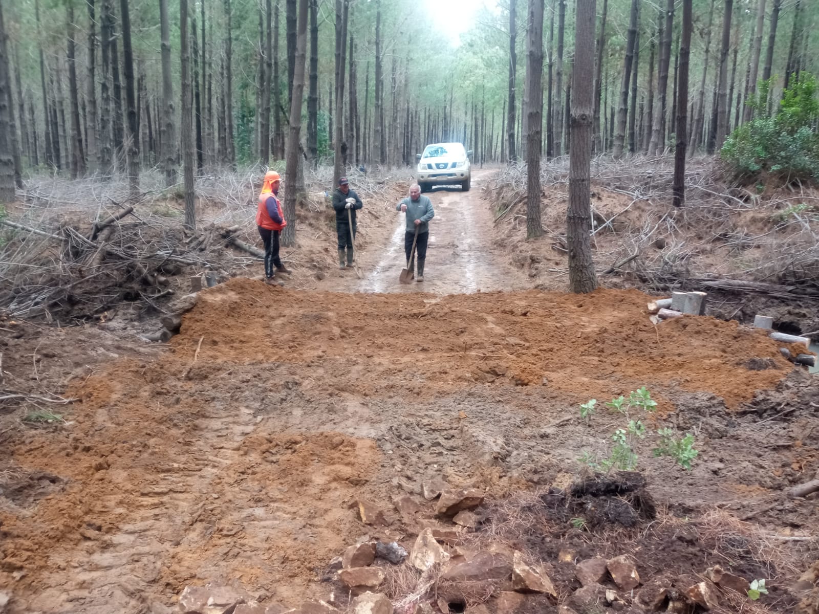 Forestal — Sociedad Agroforestal Santa María SpA