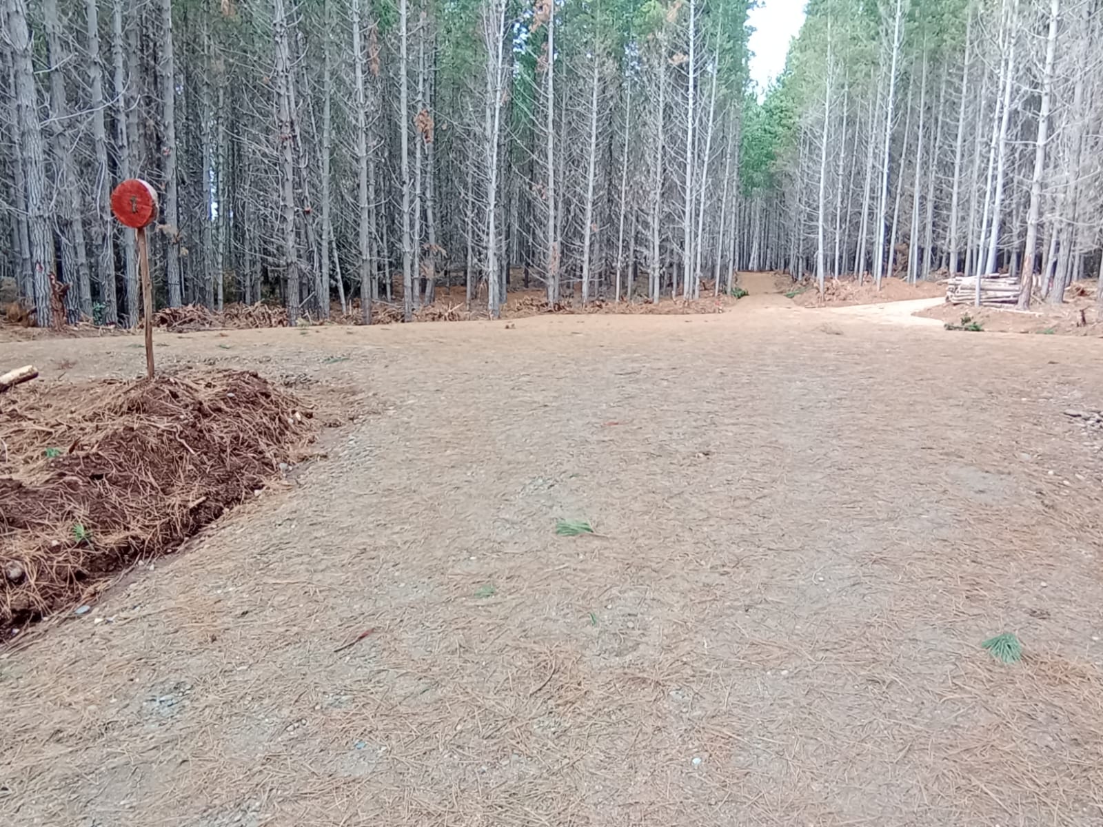 Sociedad Agroforestal Santa María SpA — Nosotros
